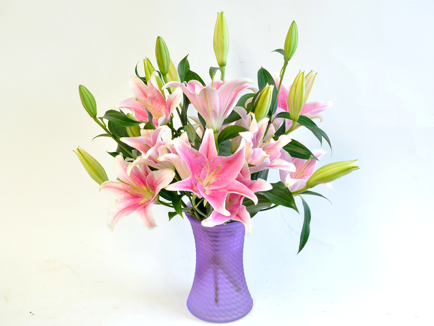 Oasis of Lilies - Price Special
